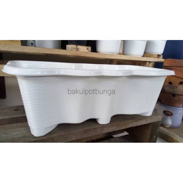  Pot  Bunga Panjang  SGP05 Putih Shopee  Indonesia