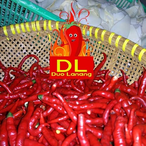 

Siap Krim Keripik Singkong Pedas Cabe Asli 100 % Tanpa Bahan Pengawet