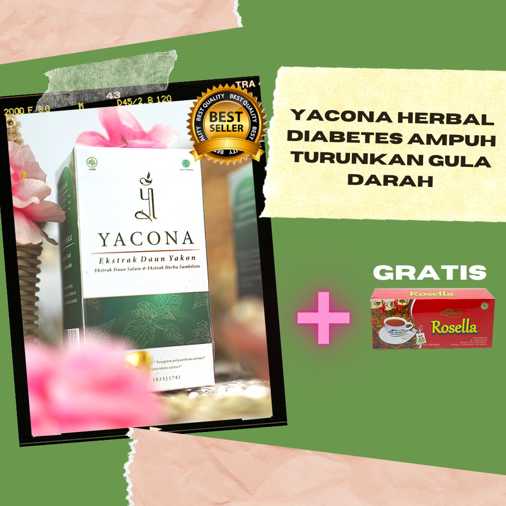 

[YACONA BONUS TEH ROSELLA] Turunkan Gula Sekaligus Kolesterol Anda