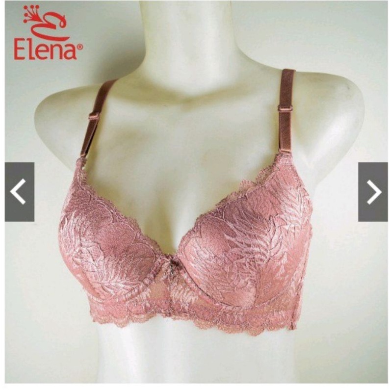 Bra Elena 24493 - BH wanita Elena 24493 (Busa Kawat 34B - 40B )