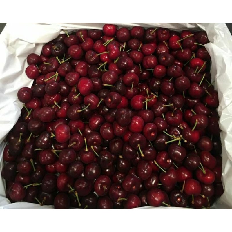 cherry red fresh premium | buah ceri manis garing | 250 grm