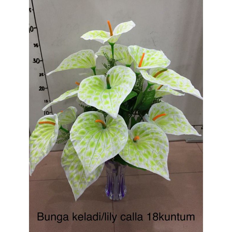 Bunga anthurium Aron panda / keladi 18kuntum (TANPA POT)