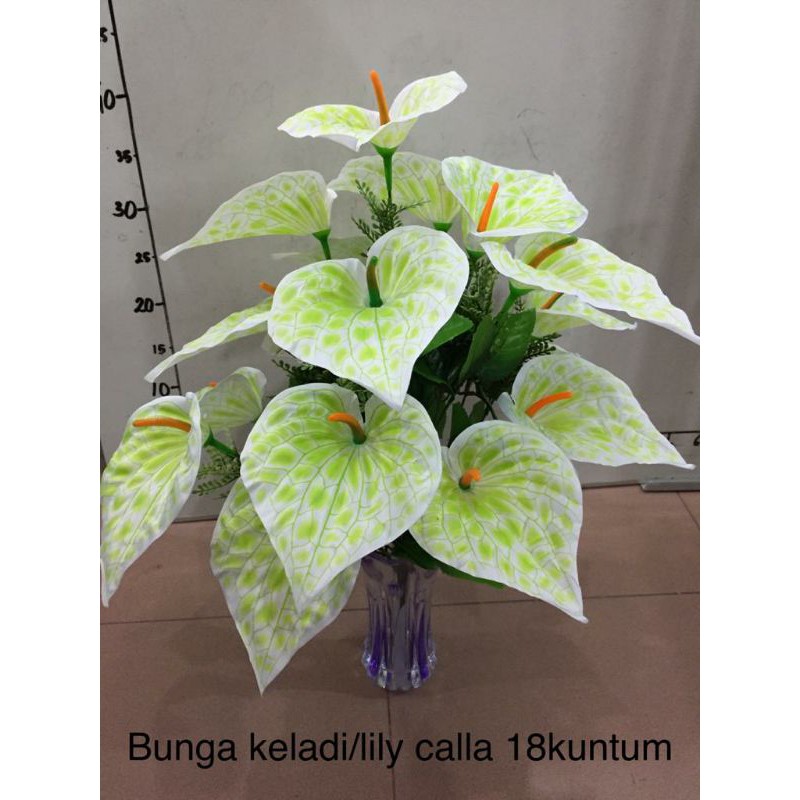 Jual Bunga Anthurium Aron Panda Keladi Kuntum Tanpa Pot Shopee Indonesia