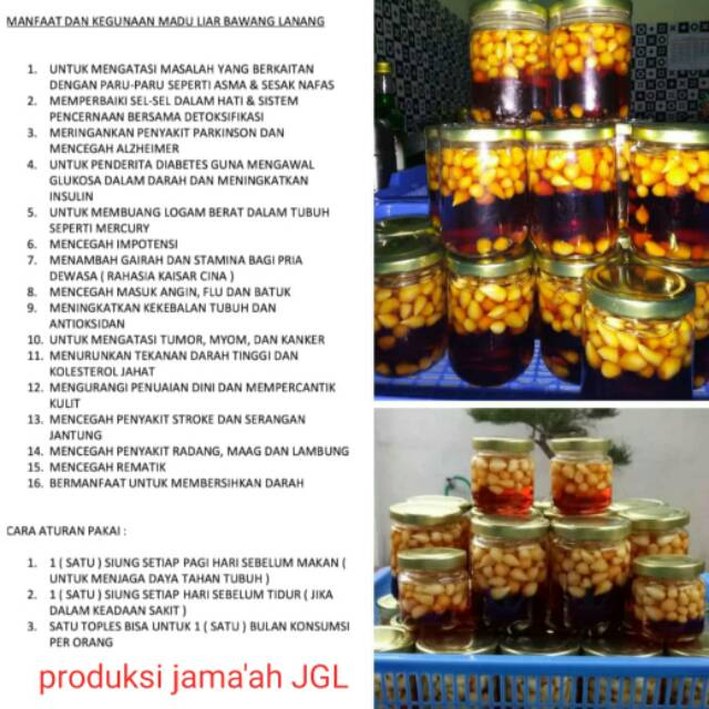 Madu Bawang Lanang Indonesia