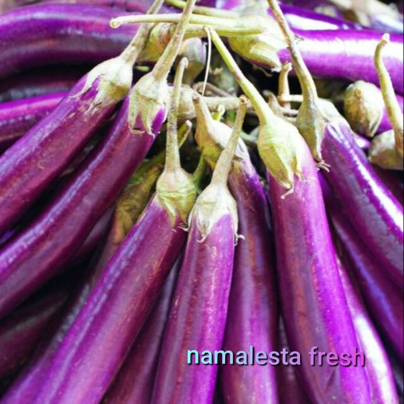 

Terong -namafresh