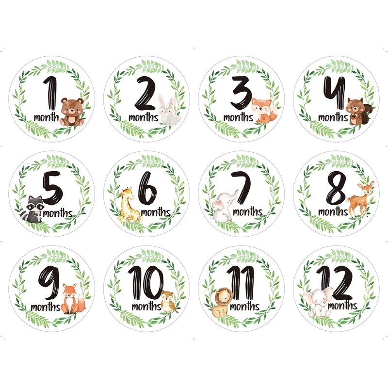 Mary 12pcs / Set Stiker Memorial Bulanan Bayi Newborn Motif Bunga