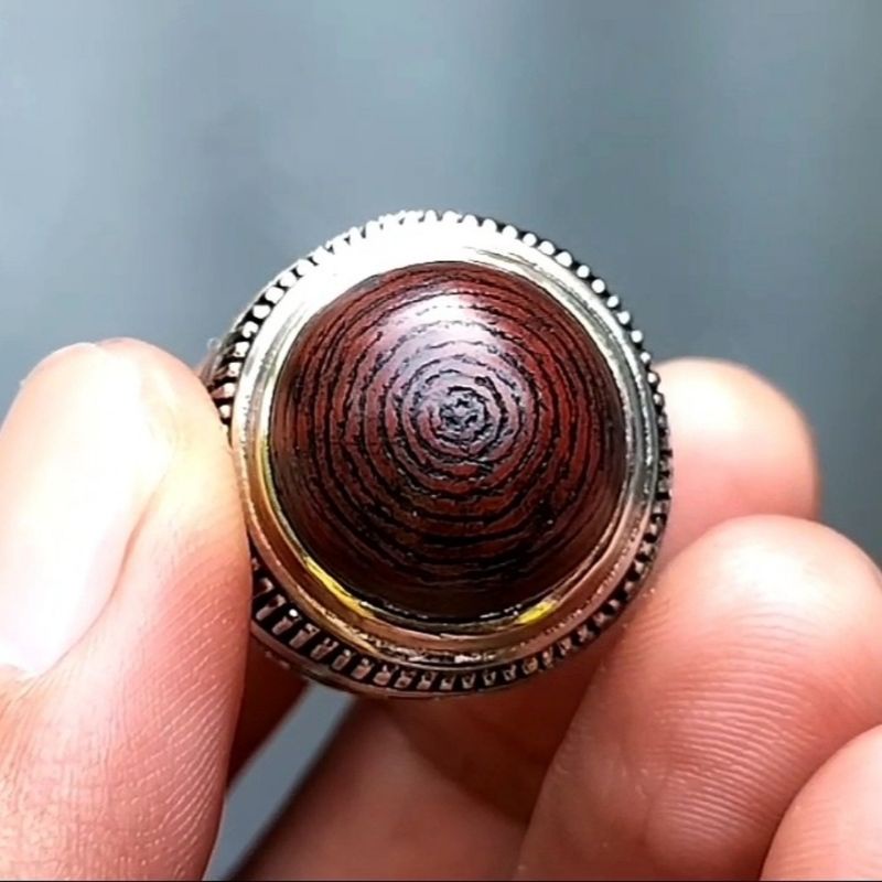 Batu Akik Galih Kelor Coklat Puser Bumi bukan yaman kalimaya kecubung ati ayam kalsedon phirus