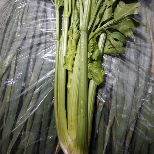 

Seledri Stik Import Grade A (1kg 55.000)