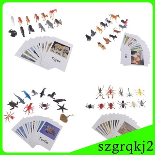 60x Montessori Wild Animals Toys Set For Toddlers With Matching Cards Gift 