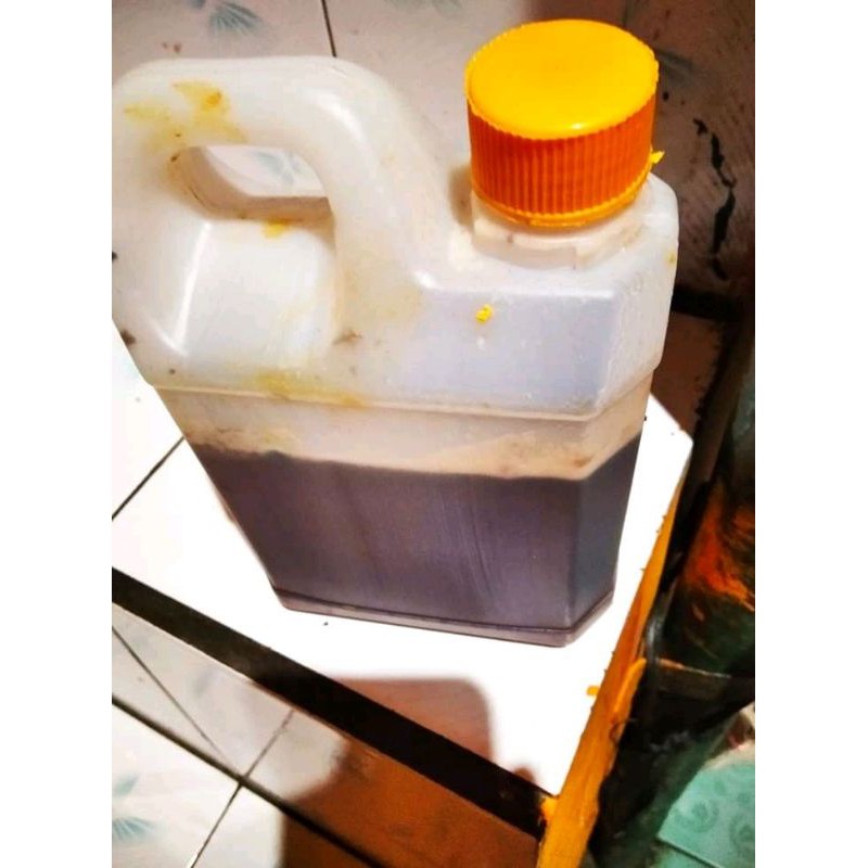 

madu hutan asli