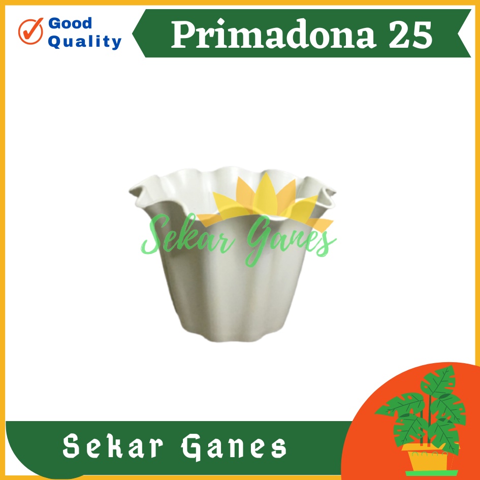 Pot Shallom Primadona 25