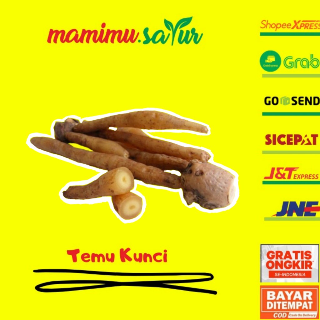 

TEMU KUNCI SEGAR TEMU SAYUR SEGAR BUMBU DAPUR BUMBU REMPAH