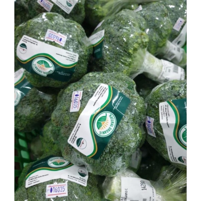 

Brokoli Organik Natural Organic