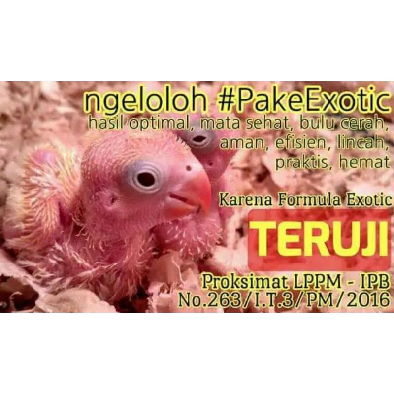 Exotic Bubur Pakan Lolohan Burung Kemasan 100gr Original