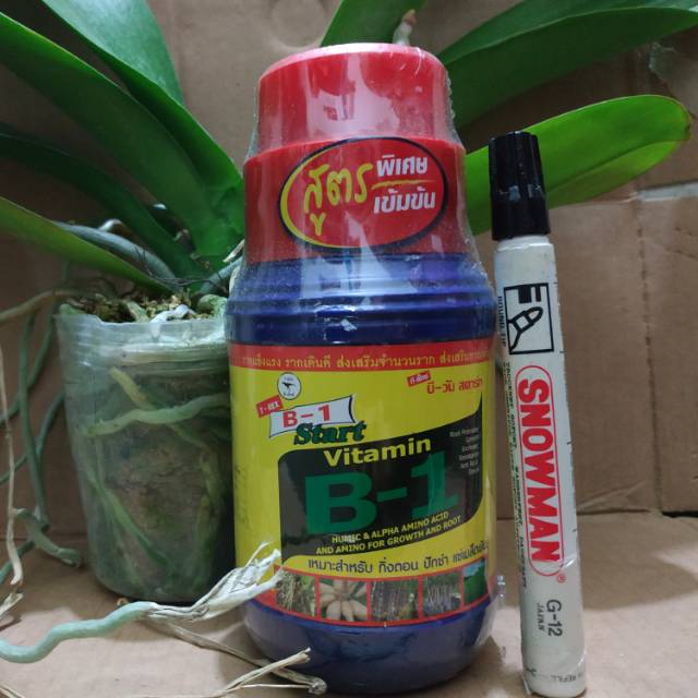 Pupuk Tanaman B1 THAILAND