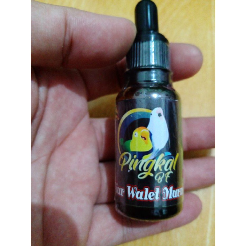 Air liur walet murni sarang walet