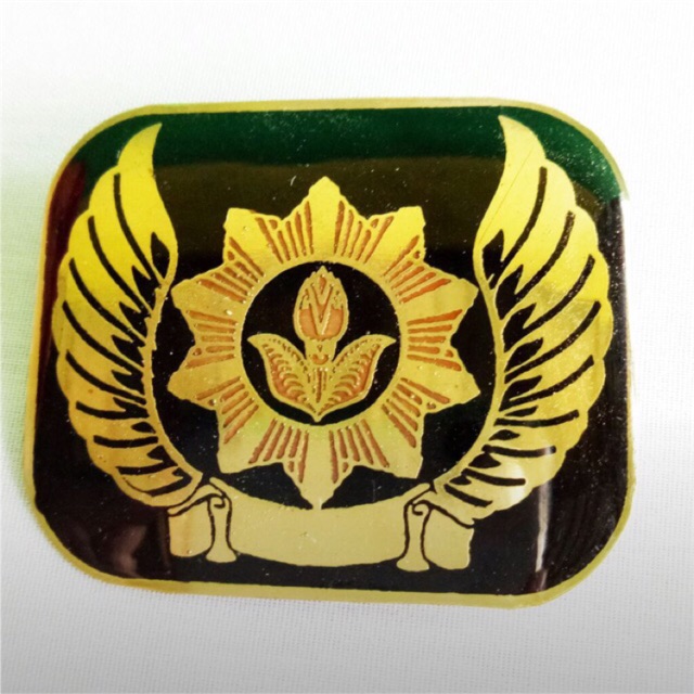 Tanda Baret Pelatih HW