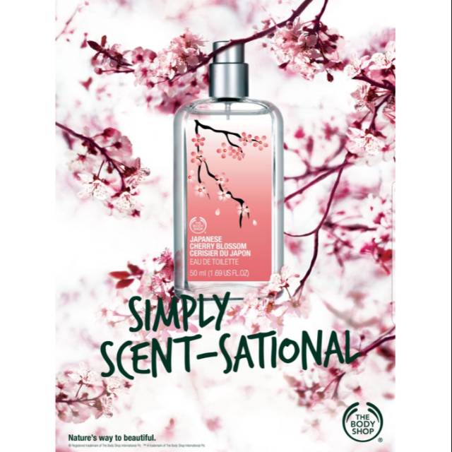 Edt 50ml Japanese Cherry Blossom Sakura Reject