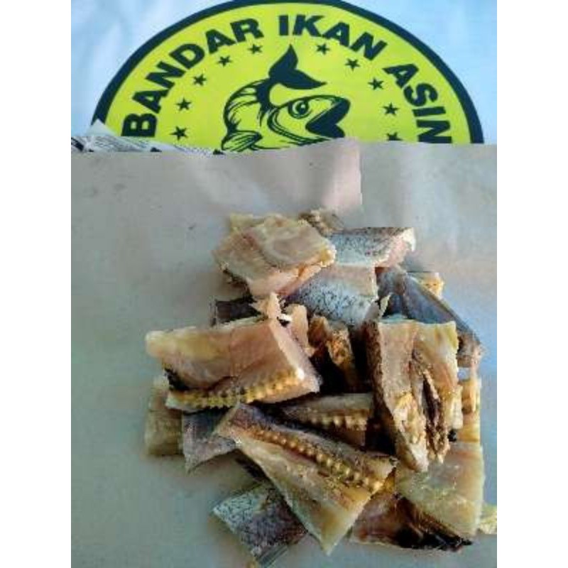 

Ikan Asin Gabus Laut Totalan fix di wa