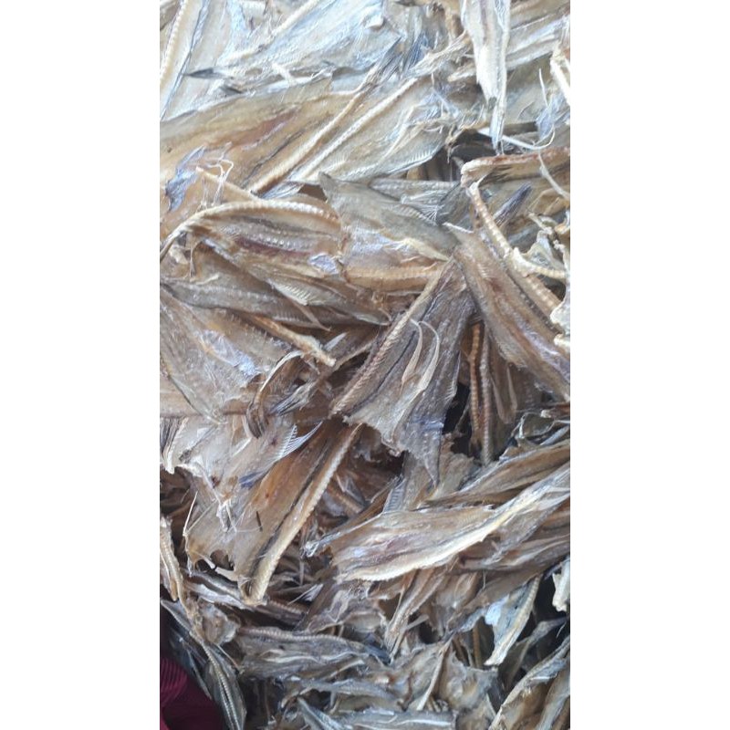 

ikan tipis pepija atau jambrong