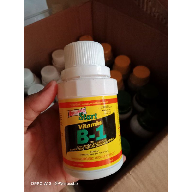 Jual Pupuk Vitamin B1 | Shopee Indonesia