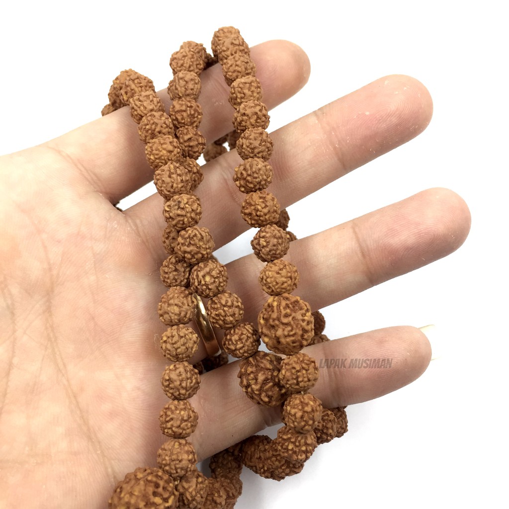 [Bayar di Tempat] Tasbih Kesehatan Kayu Jenitri Rudraksha Pria Wanita