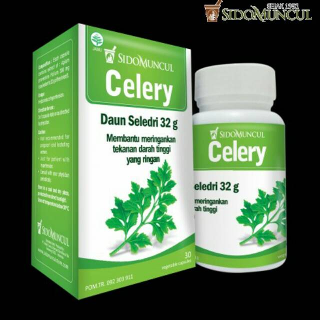 

CELERY sidomuncul