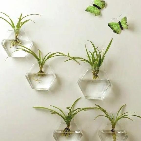 Ready Pot Vas Bunga Terrarium Gantung Bahan Kaca
