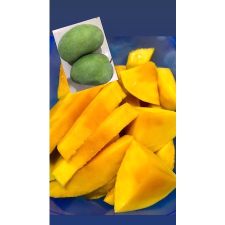 

MANGGA HARUM MANIS MATANG POHON 100%