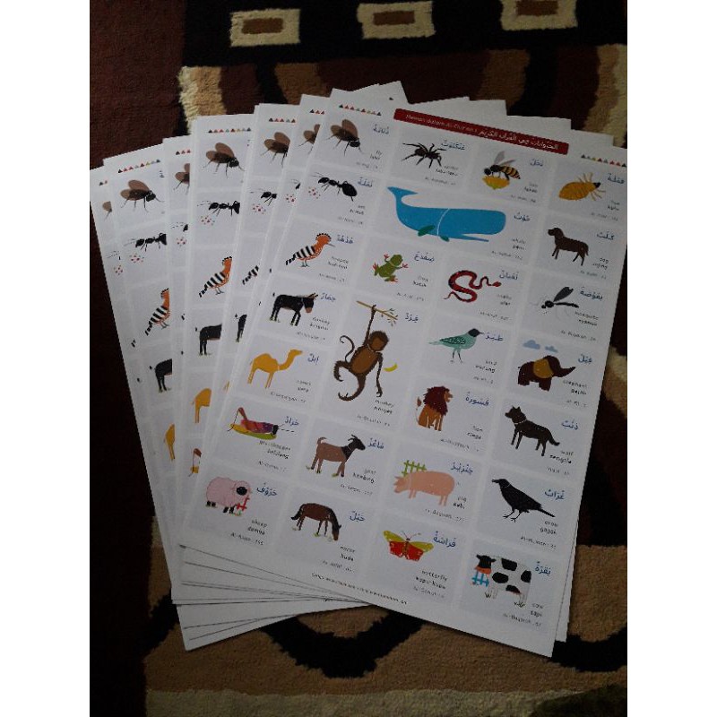 Jual Poster Edukasi Hewan | Shopee Indonesia