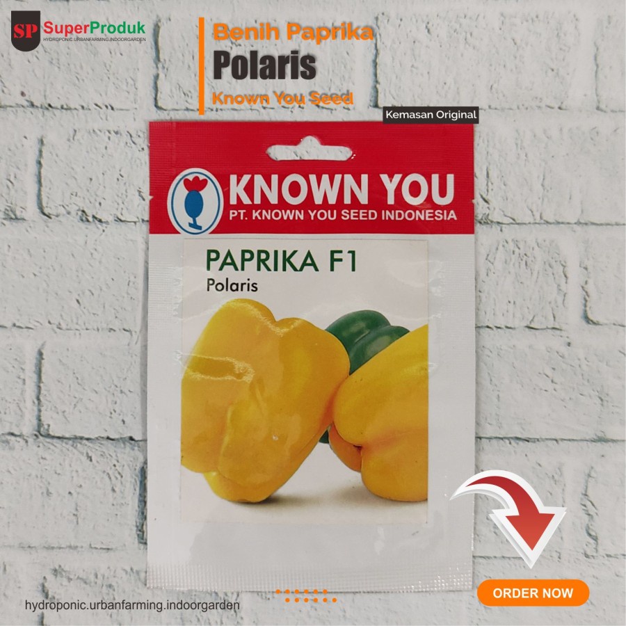 Benih Paprika Polaris Known You Seed