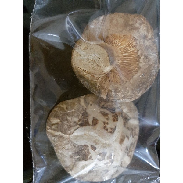 jamur shitake kering jumbo size / siangku / hioko / dried shitake