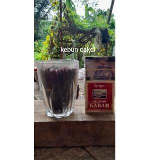 Stok terbatas.. kumbang ulat kandang// kepik ulat kandang siap produksi 1 gelas lebih hemat