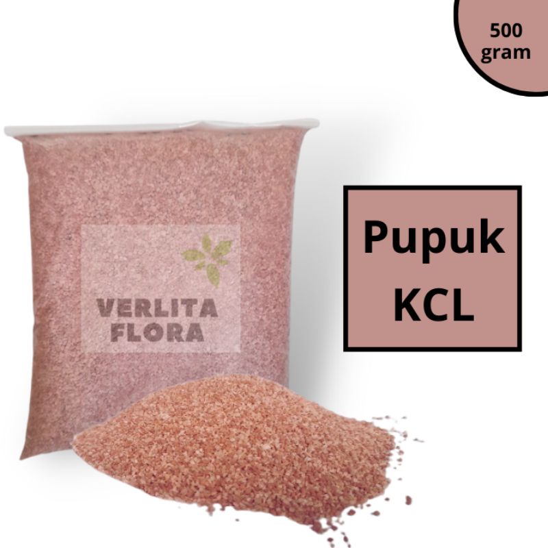 Pupuk KCL Repack 500gram