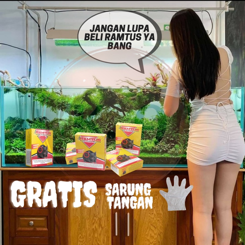 Racun Tikus Ampuh Pembasmi Tikus Ampuh Jebakan Tikus Ampuh Racun Tikus Mati Kering Ramtus