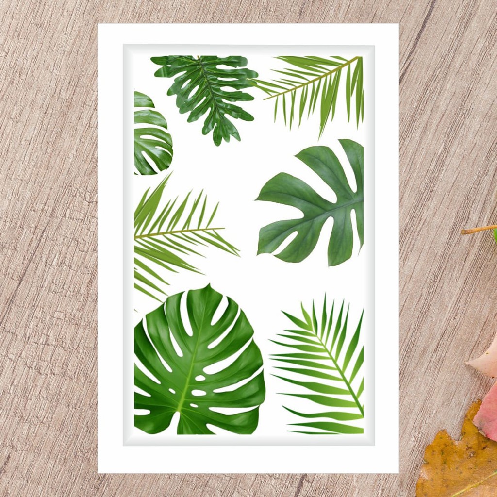 POSTER SERI MONSTERA UKURAN 20X30