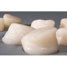 

Scallop USA