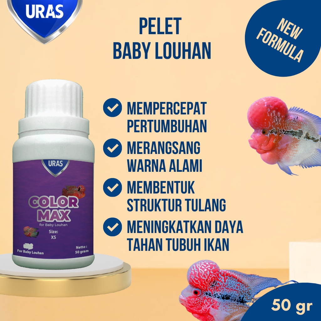Pakan Pelet Ikan untuk Warna with Spirulina for Baby Lohan Louhan Kamfa Cencu Bonsai SRD Ori Thailan