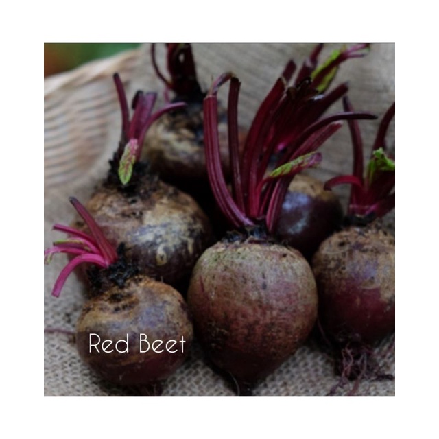 

Red Beet organik 500 gr