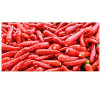 

Bumbu Tabur Cabe Korea Super 100 gram, Jual Bubuk Tabur Rasa Cabe Korea Super Powder Murah Enak