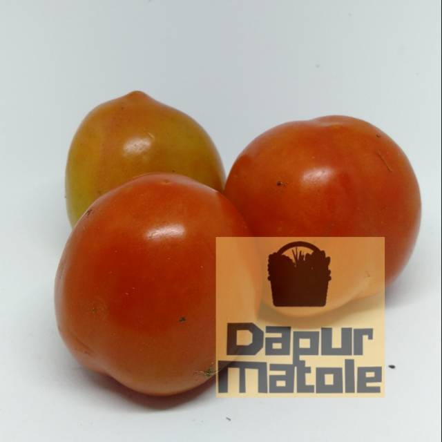 

TOMAT SEGAR 500-1000Gram