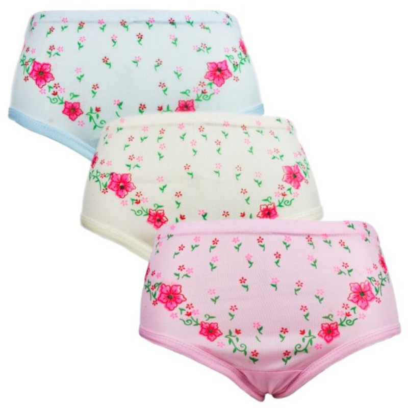 Pakaian Dalam Wanita (underwear) CD Wanita menstruasi lembut, halus ukuran Big size jumbo