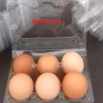 

[PS999] Mika Telur / Egg Tray / Tray Telur Isi 6 Butir Sudah ada Pengunci. Promo Gila