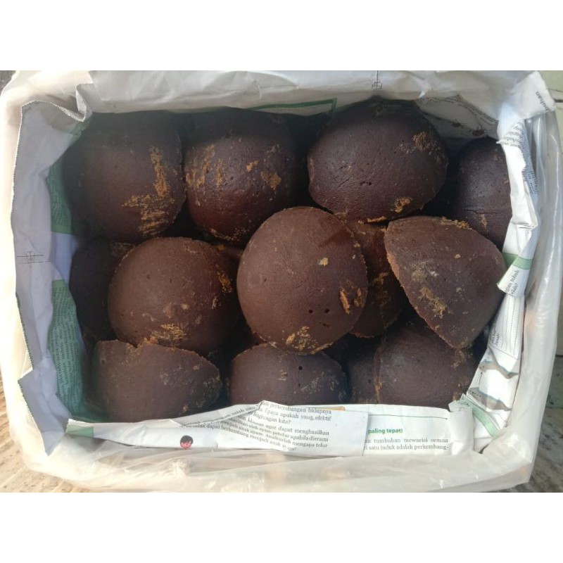 

gula aren bathok