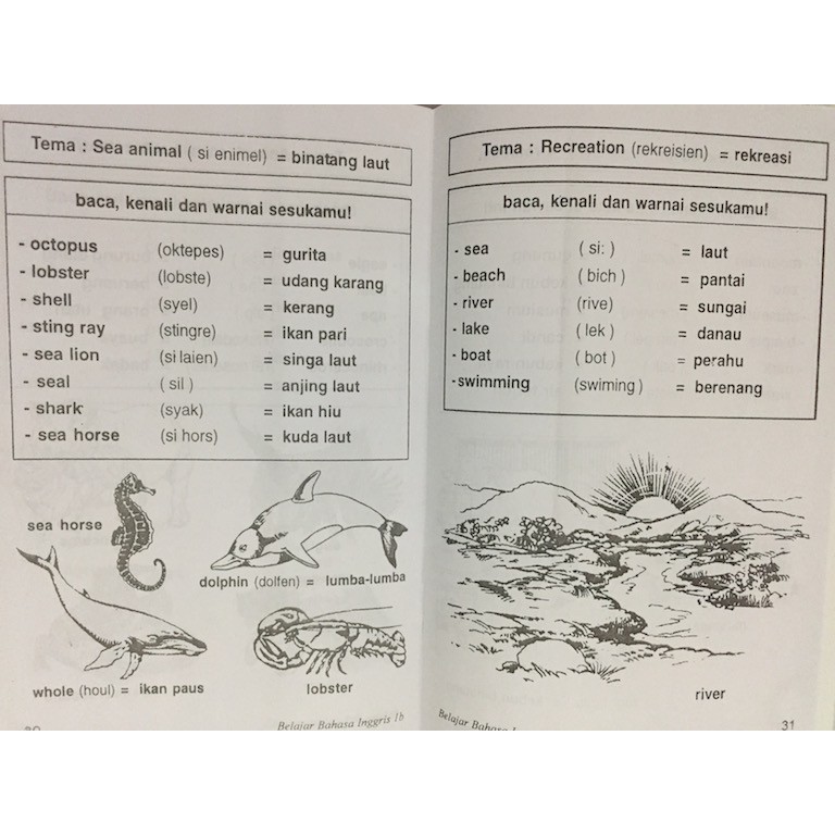 Belajar Bahasa Inggris 1A dan 1 B untuk TK dan SD Kelas 1 / Buku Anak