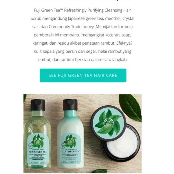 Model Baru.. Warehouse Sale!! The Body Shop Shampo 400 ml : Ginger / Shea / Fuji Green Tea / Banana