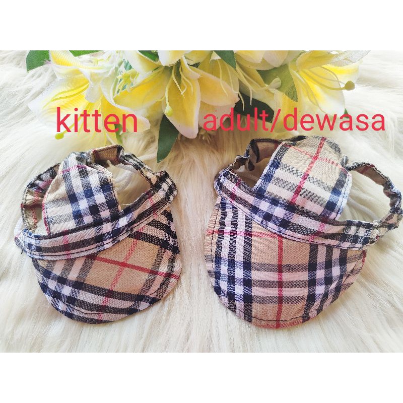 TOPI KUCING LUCU