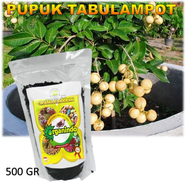 PUPUK TABULAMPOT-pupuk buah tabulampot-PUPUK TAMBULAMPOT-pupuk perangsang buah tabulampot-pot
