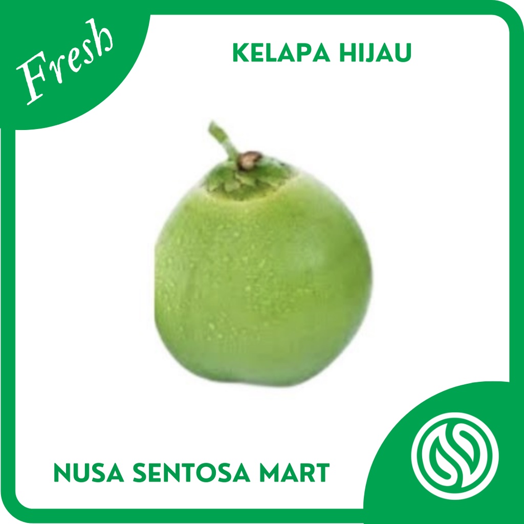 

Kelapa Hijau/ Kelapa Ijo 1 Buah Utuh Segar