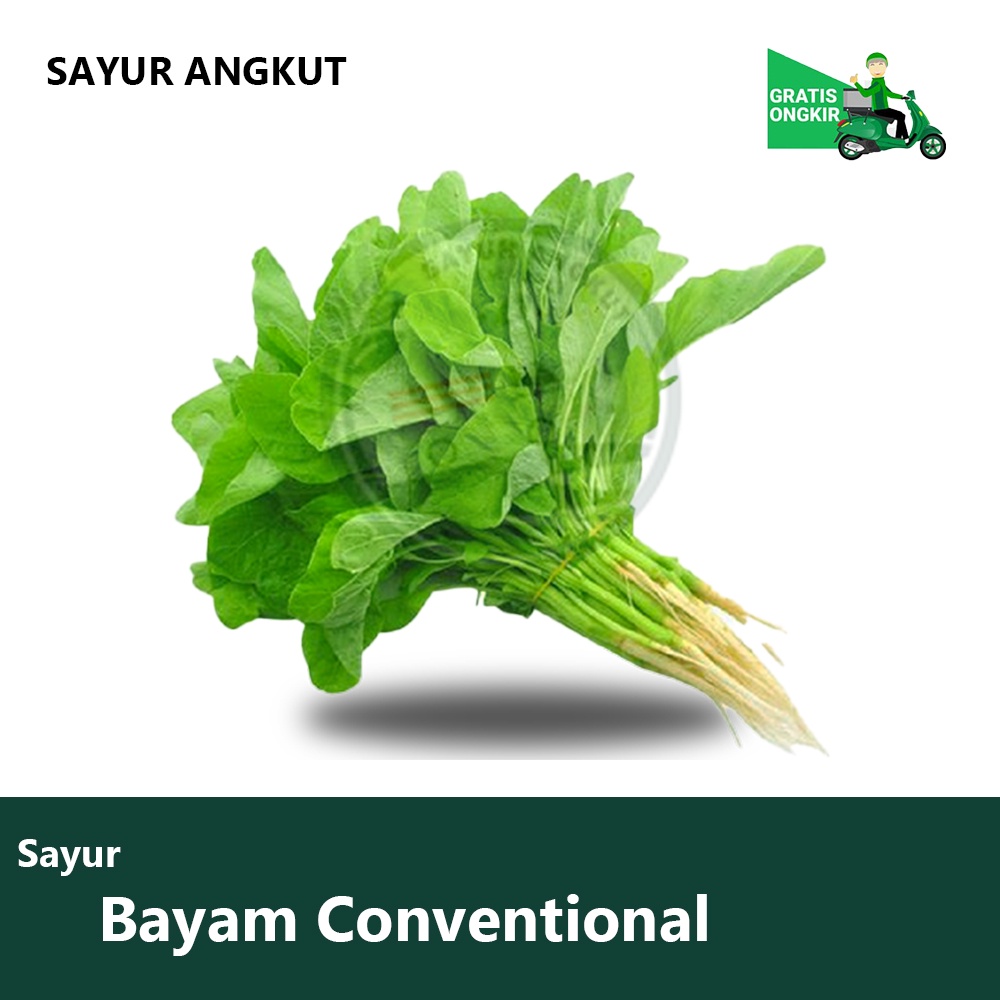 

Sayur Angkut - Bayam Conventional 250/500gr